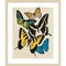 Collaged Butterflies II by Victoria Barnes Wood Framed Wall Art Print